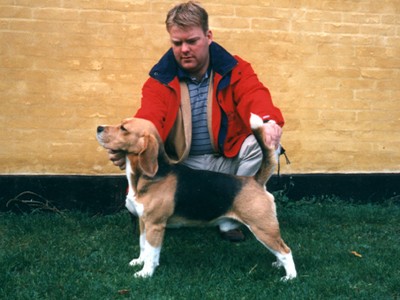 Kennel Tameo's frste Champion.